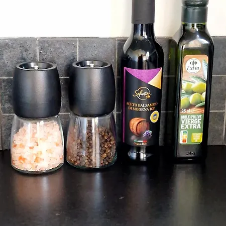 Διαμέρισμα Monica Vallauris